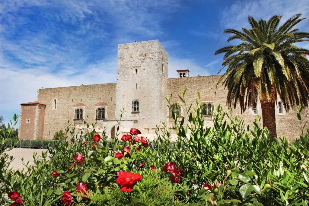 بيربينيو Appartement Boheme Proche Gare & Centre-Ville المظهر الخارجي الصورة